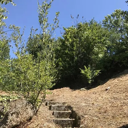 بيت للعطل Quinta Do Ladario Várzea Ovelha e Aliviada